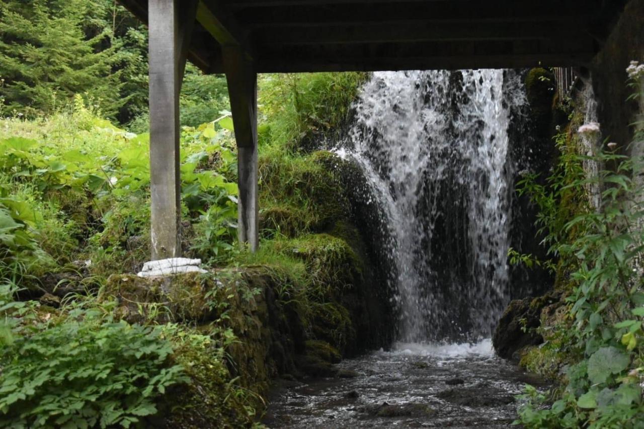Wooden House With A Waterfall "Stipanov Mlin" Villa พลิตวิชกา เยเซรา ภายนอก รูปภาพ